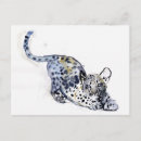 Search for wildcat postcards Cute