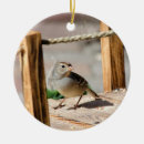Search for birds christmas tree decorations Bird watcher