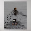 Search for way posters Photography