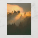 Search for renewable postcards Tree