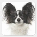 Search for papillon stickers Puppies