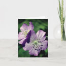 Search for twins photography Floral