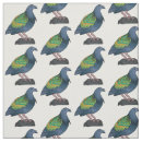 Search for pigeon fabric Bird