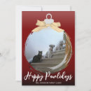 Search for pet christmas cards Bow