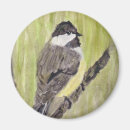 Search for capped chickadee magnets Nature