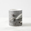 Search for swan mugs Animals
