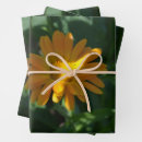 Search for marigold wrapping paper Floral