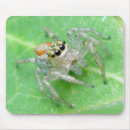 Search for jumping mousepads Bird
