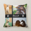 Search for dog cushions Black