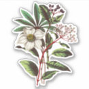 Search for hellebore stickers Vintage