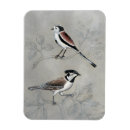 Search for pair magnets Animals