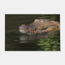 Search for alligator garden decor Water