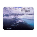 Search for stein magnets Glacier