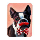 Search for bowtie magnets Boston terrier
