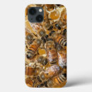 Search for beekeeper electronics Apiary