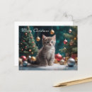 Search for christmas kitten postcards Xmas