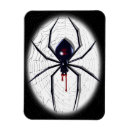 Search for widow spider Horror