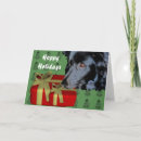 Search for border collie christmas cards Animal