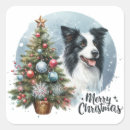 Search for herding dog stickers Border collie