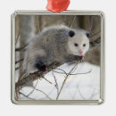 Search for opossum christmas tree decorations Animal