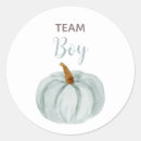 Search for team blue baby shower stickers Gender reveal party