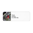 Search for northern cardinal return address labels Wildlife