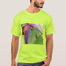 Search for banana tree clothing Nature