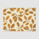 Search for autumn leaves tissue paper Nature