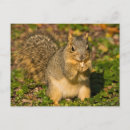 Search for crystal postcards Green