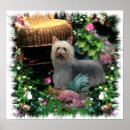 Search for terriers art Cute