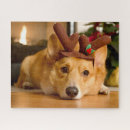 Search for reindeer puzzles Dog