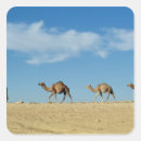 Search for camel desert stickers Africa
