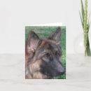 Search for german shepherd thank you cards Pets