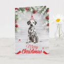 Search for dalmatian christmas cards Dog