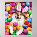 Search for easter bunny posters Funny