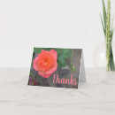 Search for photography thank you cards Thanks