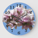Search for magnolia clocks Blossom