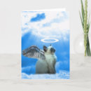 Search for cute kitten christmas cards Kitty