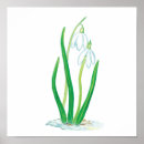 Search for snowdrop art Galanthus