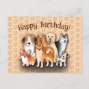 Search for husky birthday cards Happy