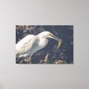 Search for catching canvas prints Bird