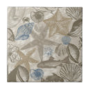 Search for beach shells tiles Crab