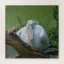 Search for pelican puzzles White