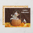 Search for pumpkin image postcards Cat