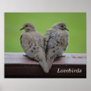 Search for mourning posters Dove