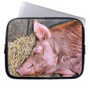 Search for hog cases Farm