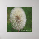 Search for dandelion canvas prints Photography