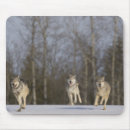Search for family tree mousepads Outdoors