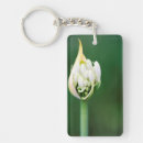 Search for cape town key rings Colour image