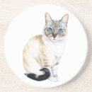 Search for lynx coasters Cat